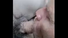 Reproduzir Só se os fãs tentarem cara falado