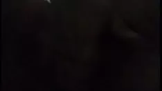 تشغيل تروجيلانا سنوب