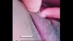 تشغيل قطط كيتي برازيلية