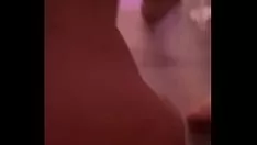 Jouer Imbatat si futut in cur