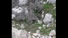 Redare Sunați la 6942872233 dacă sunteți în ellas